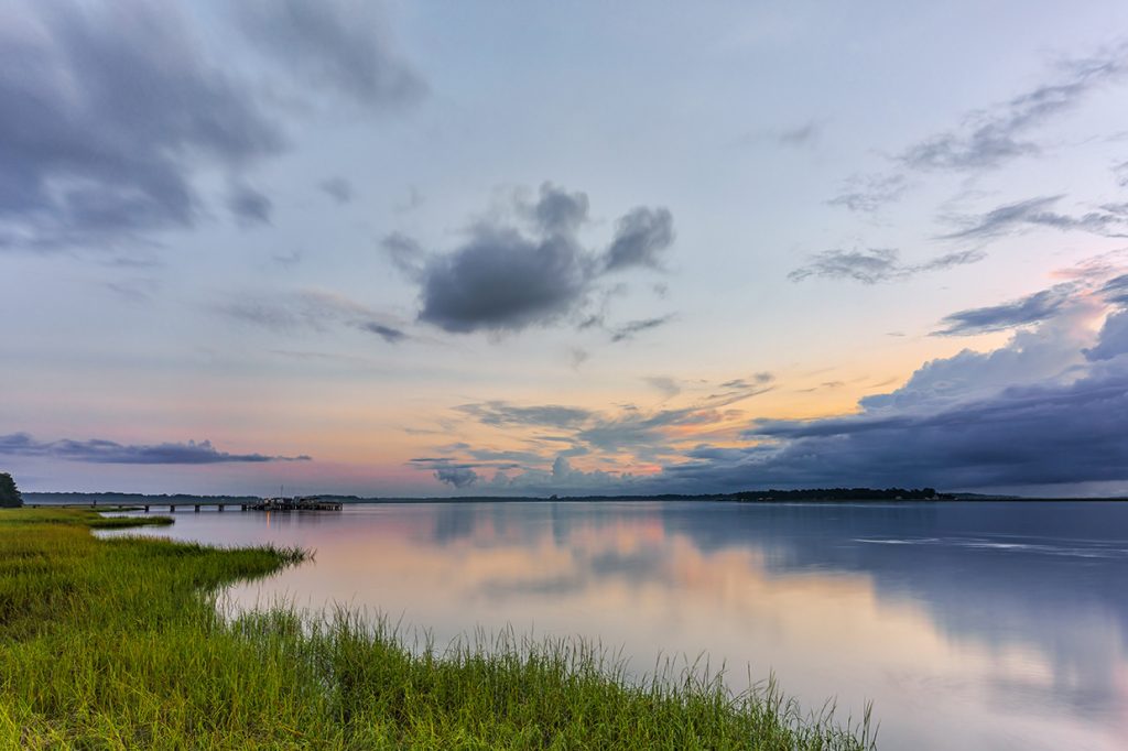Marshy coastline of Savannah, Georgia